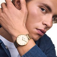 Watch Daniel Wellington Man PETITE-ACCIAIO in Steel DW00100779 - DW00100779